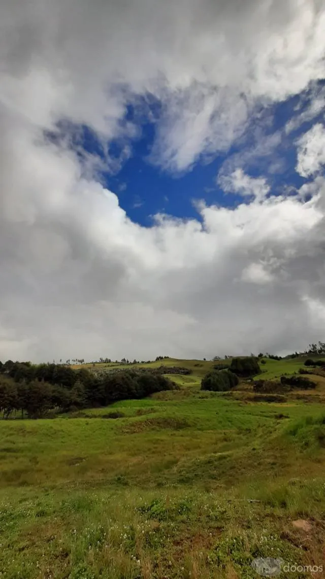 Venta de terreno rural sembrado de 10 Hectáreas - 5