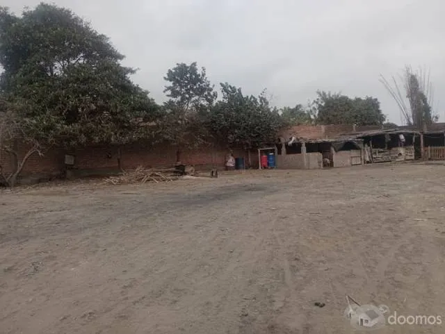 OCASIÓN TERRENO SUPE BARRANCA - 5