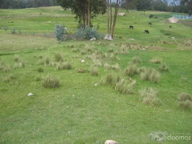 Vendo Terreno de 2,998.52 m2 en Cachipampa - Independencia-Huaraz-Ancash. Precio 160 soles el m2. Excelente Ubicación. A 20 minutos de la ciudad de HUARAZ - 2