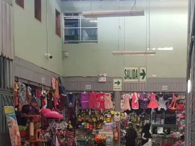 VENDO DOS PUESTOS JUNTOS CON ALMACEN