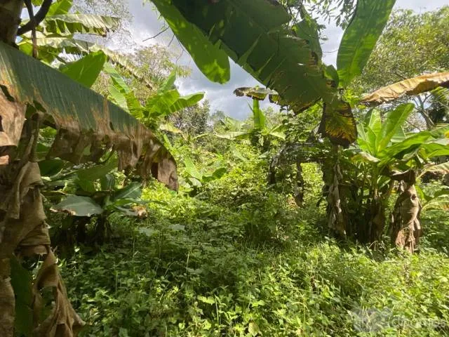 linda terreno en venta/ iquitos/ santo tomas/ s/260000 - 4