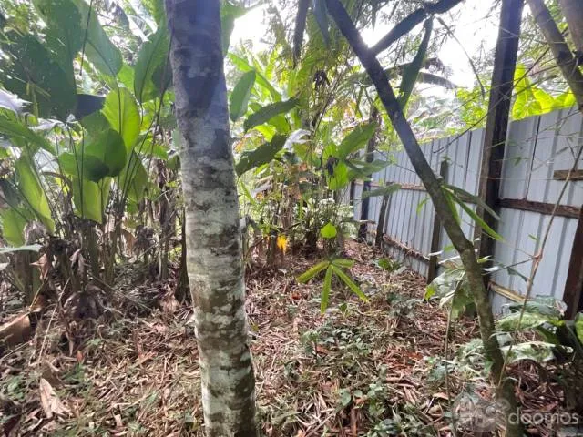 linda terreno en venta/ iquitos/ santo tomas/ s/260000 - 5