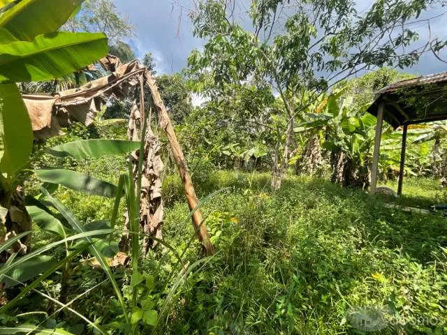 linda terreno en venta/ iquitos/ santo tomas/ s/260000 - 6