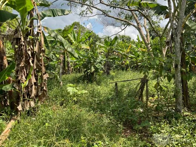 linda terreno en venta/ iquitos/ santo tomas/ s/260000 - 7