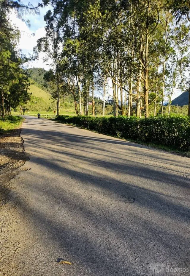 VENTA DE TERRENO PARA CASA DE CAMPO EN OXAPAMPA - 2