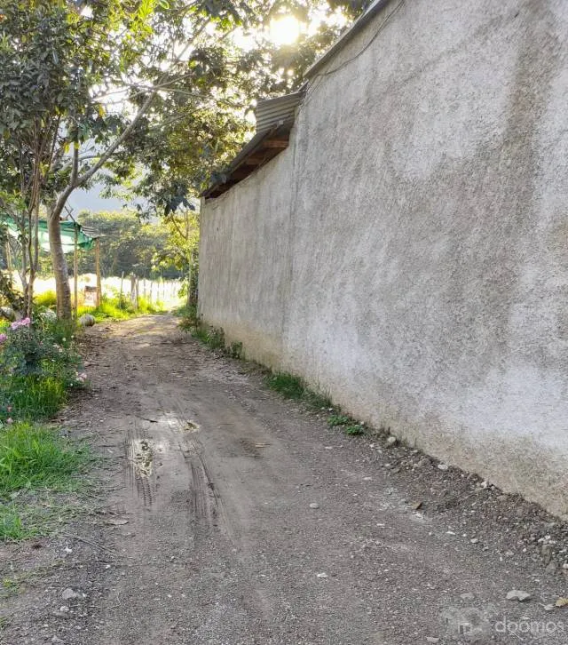 VENTA DE TERRENO PARA CASA DE CAMPO EN OXAPAMPA - 3