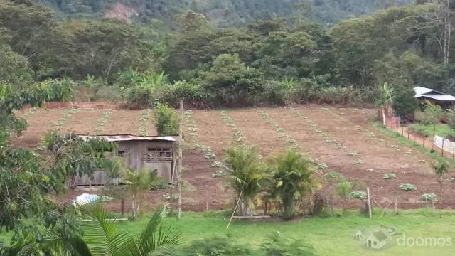 VENTA DE TERRENO PARA CASA DE CAMPO EN OXAPAMPA - 7