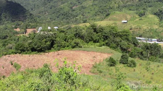 APROVECHE TERRENO PLANO DE 20 000 METROS CERCA A LA PISTA EN EL PUEBLO RIO SECO SAN LUIS DE SHUARO - 1