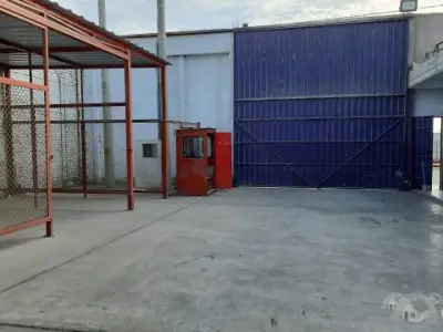 Miniatura 7