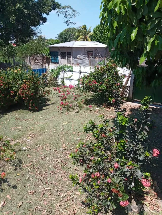Terreno extenso para recreos, vivienda campestre, la ganaderia etc - 2