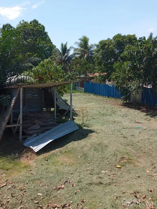 Terreno extenso para recreos, vivienda campestre, la ganaderia etc - 3