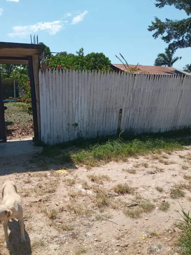 Terreno extenso para recreos, vivienda campestre, la ganaderia etc - 6