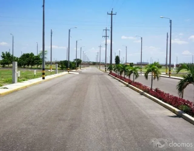 Lotes con Licencia de Habilitacion Urbana, independientes y cada uno cuenta con titulo de Propiedad — foto 3