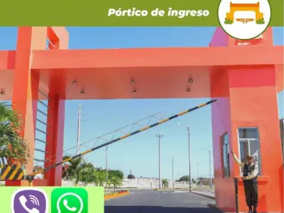 Miniatura 9