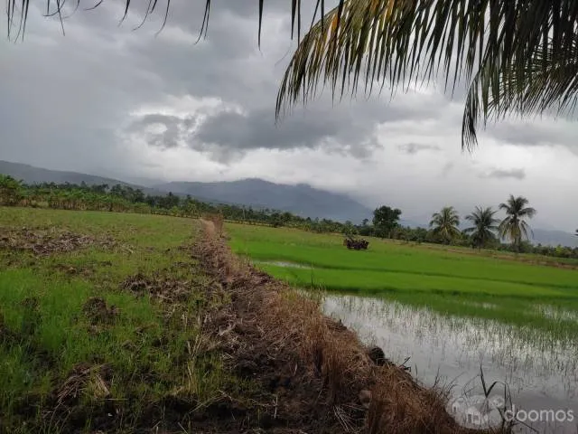 Se Vende Terreno Eco - Turístico 2.5 Ha — foto 5