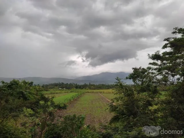 Se Vende Terreno Eco - Turístico 2.5 Ha — foto 6