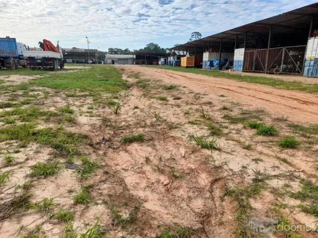 ALQUILO O VENDO TERRENO PUCALLPA KM 15 AV FEDERICO BASADRE 3 HECTAREAS (30,000.00 M2) - 4