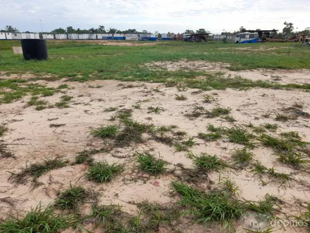 ALQUILO O VENDO TERRENO PUCALLPA KM 15 AV FEDERICO BASADRE 3 HECTAREAS (30,000.00 M2) - 5