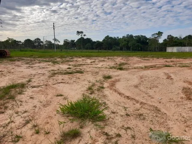 ALQUILO O VENDO TERRENO PUCALLPA KM 15 AV FEDERICO BASADRE 3 HECTAREAS (30,000.00 M2) - 6