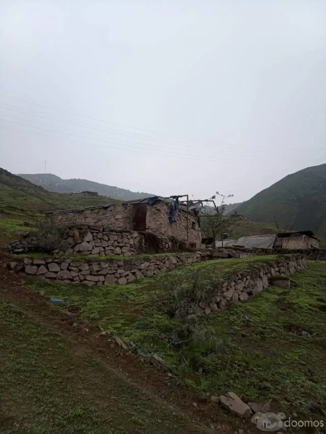TRANSPASO DE PROYECTO AGRICOLA - 1