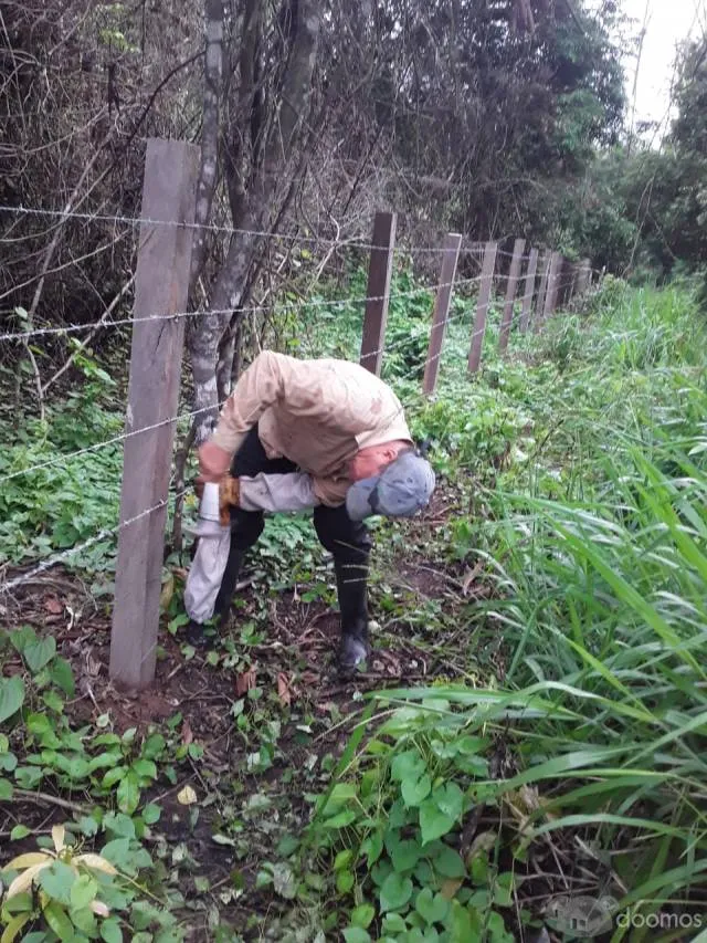 Oportunidad de Inversión en la selva de Perú - Investment Opportunity at the jungle of Perú - 5