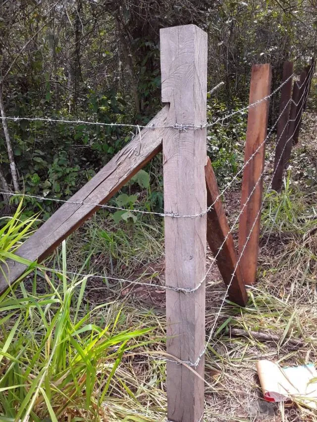 Oportunidad de Inversión en la selva de Perú - Investment Opportunity at the jungle of Perú - 6