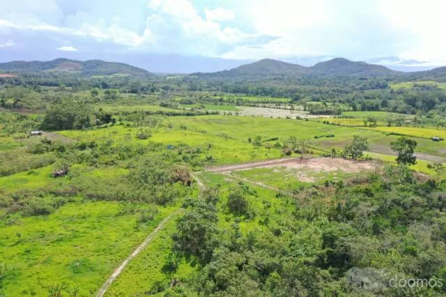 vendo terreno especial para lotizar y sembrio de arroz para lugar turistico - 3