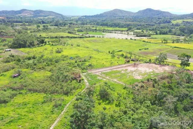 vendo terreno especial para lotizar y sembrio de arroz para lugar turistico - 4