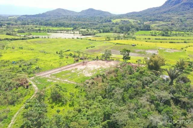 vendo terreno especial para lotizar y sembrio de arroz para lugar turistico - 5