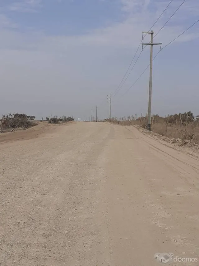 VENTA TERRENO AGRICOLA EN JAYANCA 20Has (LAMBAYEQUE) - 1