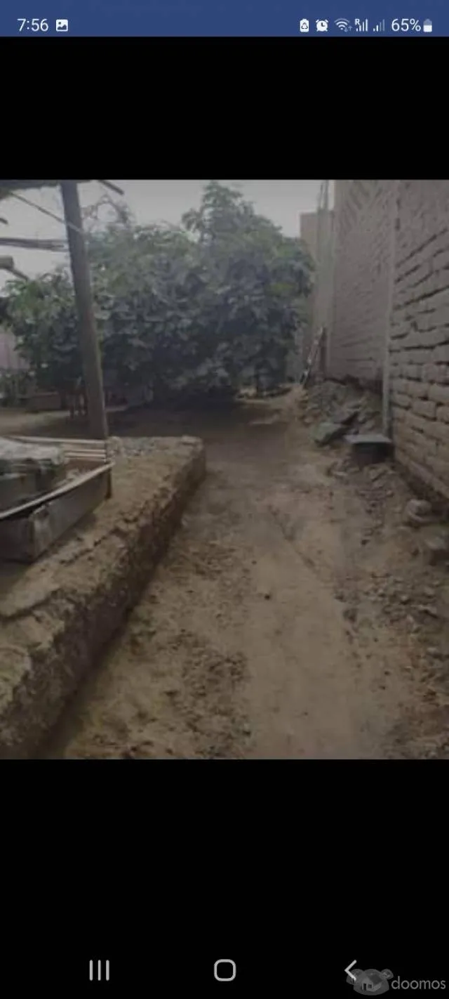 Remato Terreno 196m2 - 3