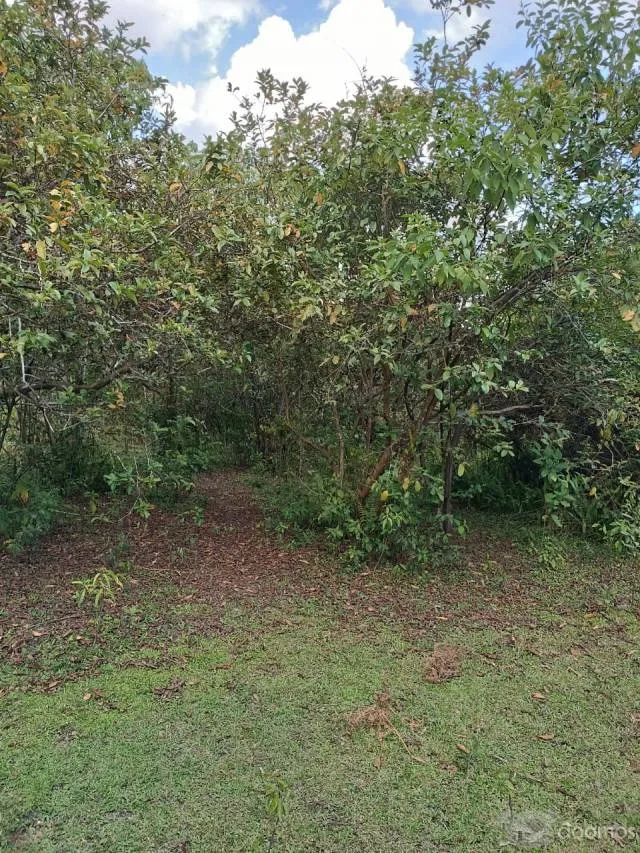 DE OCASIÓN! TERRENO DE 40,000 M2 EN VENTA EN AMAZONAS, PERÚ - 3