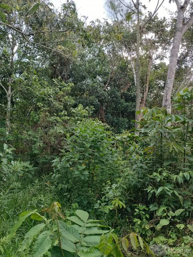 DE OCASIÓN! TERRENO DE 40,000 M2 EN VENTA EN AMAZONAS, PERÚ - 4