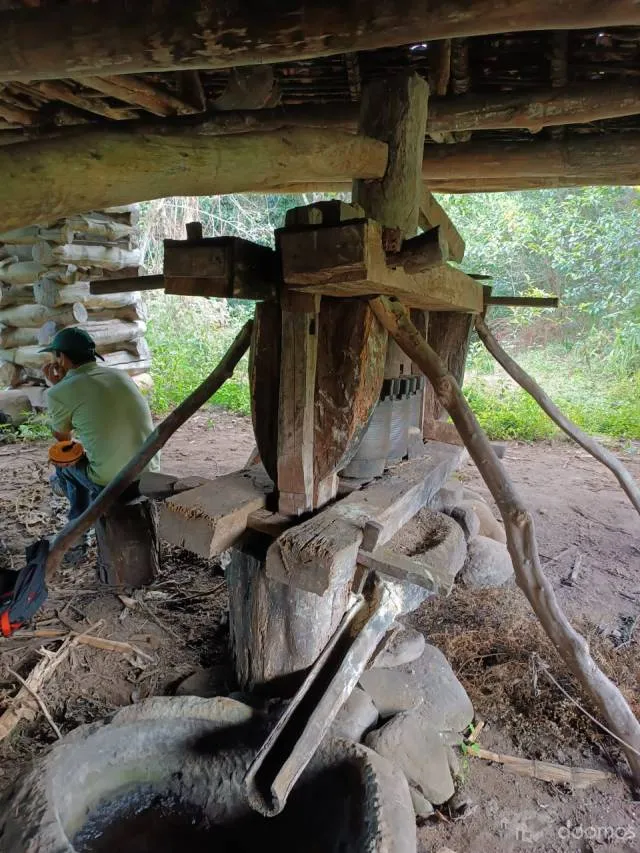 DE OCASIÓN! TERRENO DE 40,000 M2 EN VENTA EN AMAZONAS, PERÚ - 6