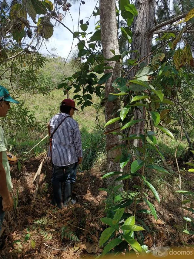 DE OCASIÓN! TERRENO DE 40,000 M2 EN VENTA EN AMAZONAS, PERÚ - 8