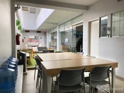 Miniatura 9