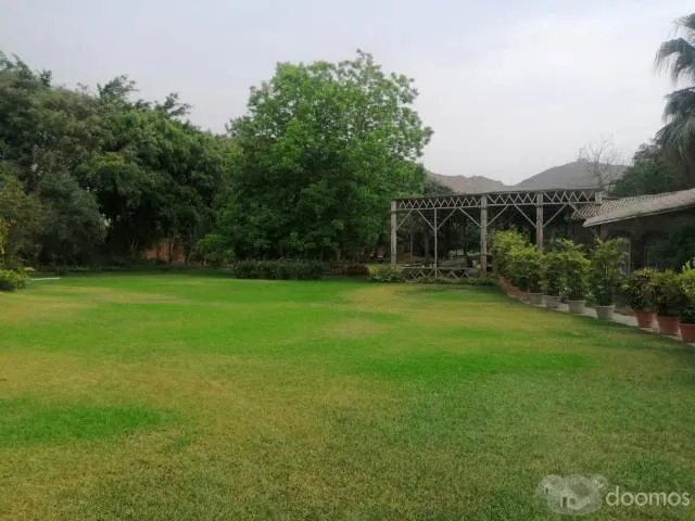 Surco  en venta  casa  en Circunvalación. El Golf o como terreno de 7,333 m2 con 1,850 m2 construidos, con 7  dormitorios — foto 10