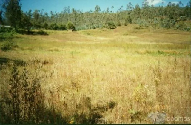 VENTA DE TERRENOS EN CHACHAPOYAS - 3