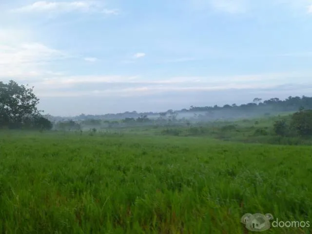 TERRENO EN VENTA - 450 HA. CARRETERA IQUITOS - NAUTA KM. 39 - 3