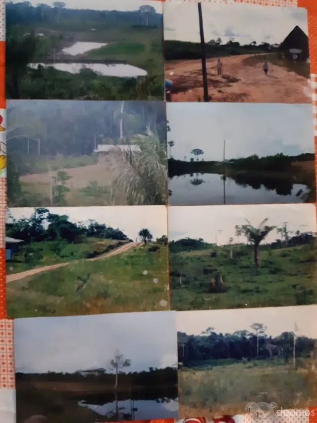 TERRENO EN VENTA - 450 HA. CARRETERA IQUITOS - NAUTA KM. 39 - 4