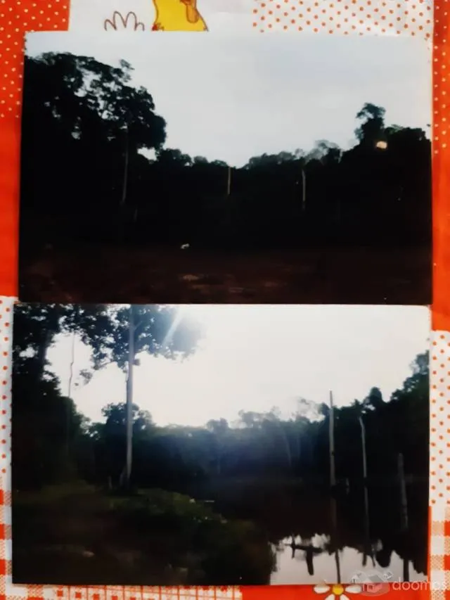 TERRENO EN VENTA - 450 HA. CARRETERA IQUITOS - NAUTA KM. 39 - 5