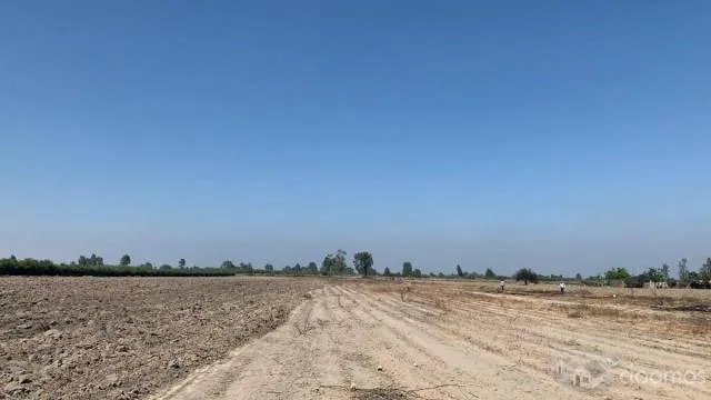 TERRENO AGRICOLA 6 HECTAREAS Carretera Libertadores - Pisco - 2