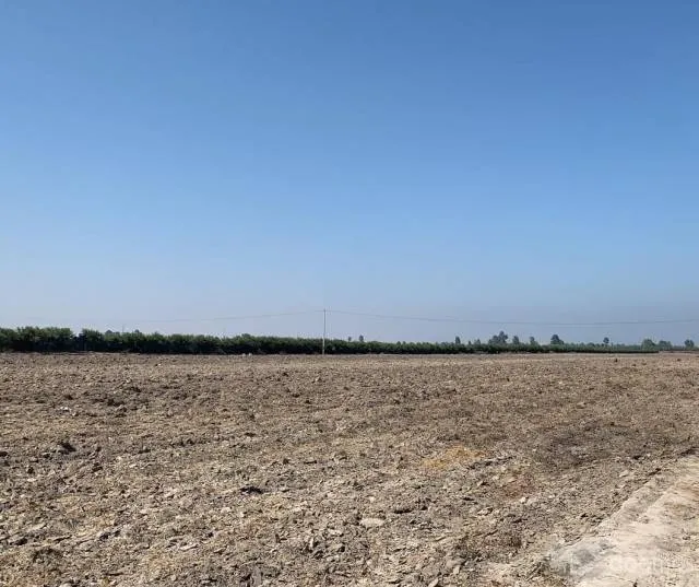 TERRENO AGRICOLA 6 HECTAREAS Carretera Libertadores - Pisco - 4
