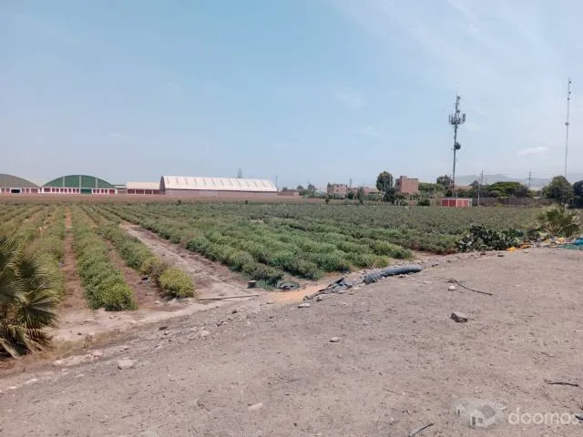 Terreno en Venta Huaura — foto 3