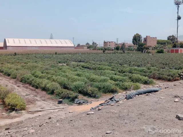 Terreno en Venta Huaura — foto 4