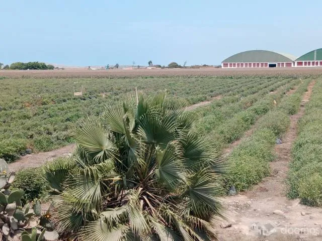 Terreno en Venta Huaura — foto 5