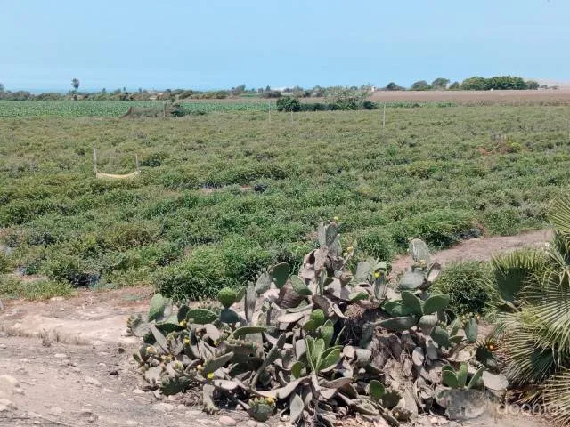 Terreno en Venta Huaura — foto 6