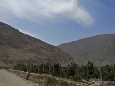 TERRENO 2,500 m² - CALANGO
