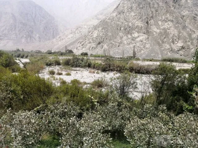 TERRENO 2,500 m² - CALANGO — foto 2
