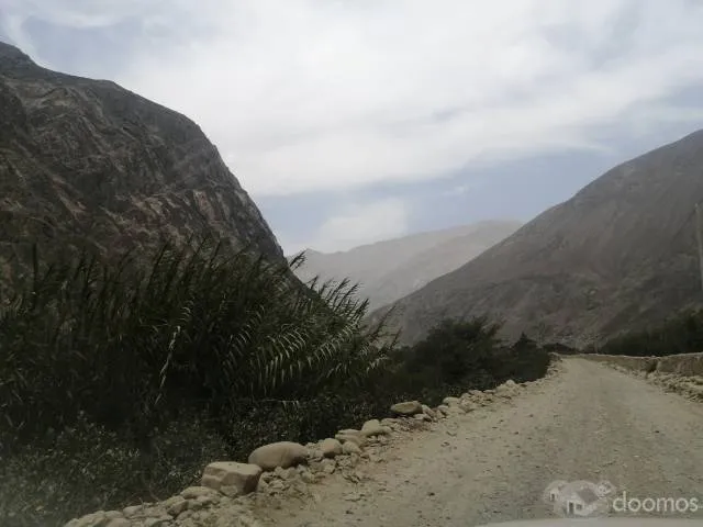 TERRENO 2,500 m² - CALANGO — foto 3